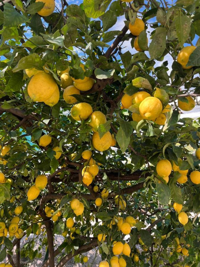 Casa Positano Leilighet Eksteriør bilde